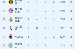 拜仁慕尼黑客场憾负，积分榜上失分的简单介绍